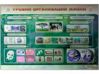 Электрифицированный стенд "Уровни организации жизни" - fgospostavki.ru - Владикавказ