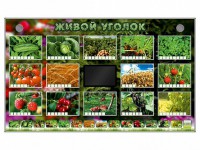 Комплект оборудования "Живой уголок" (растения) - fgospostavki.ru - Владикавказ