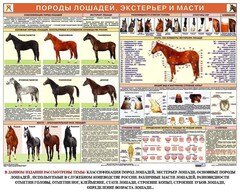 Комплект плакатов "Служебное коневодство" - fgospostavki.ru - Владикавказ