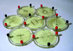 Демонстрационный комплект «Силовые линии электрического поля разных систем зарядов» - fgospostavki.ru - Владикавказ