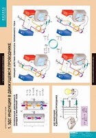 Комплект таблиц. Физика. Электромагнетизм. - fgospostavki.ru - Владикавказ