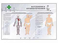 Электрифицированный стенд "Остановка кровотечения" - fgospostavki.ru - Владикавказ