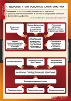Комплект таблиц. ОБЖ. Здоровый образ жизни. - fgospostavki.ru - Владикавказ