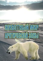DVD "Животный мир Арктической зоны" - fgospostavki.ru - Владикавказ