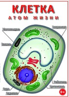 DVD "Клетка - "атом жизни" - fgospostavki.ru - Владикавказ