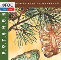 Ботаника. Микрофотографии. (Цифровая база изображений) - fgospostavki.ru - Владикавказ