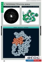 Комплект таблиц. Химия. Белки и нуклеиновые кислоты. - fgospostavki.ru - Владикавказ