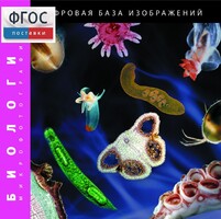 Биология. Микрофотографии. (Цифровая база изображений) - fgospostavki.ru - Владикавказ