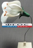 Модель "Цветок гороха" - fgospostavki.ru - Владикавказ