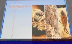 Коллекция "Палеонтологическая" (16 образцов) - fgospostavki.ru - Владикавказ