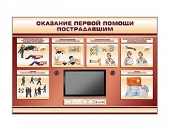 Многофункциональный интерактивный стенд-тренажер "Оказание первой помощи пострадавшим" для учащихся общеобразовательных учреждений - fgospostavki.ru - Владикавказ