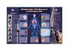 Электрифицированный стенд "Вредные привычки: наркомания" - fgospostavki.ru - Владикавказ