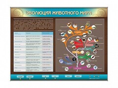 Интерактивный электрифицированный стенд "Эволюция животного мира" - fgospostavki.ru - Владикавказ