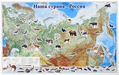Магнитные карточки "Животные" - fgospostavki.ru - Владикавказ