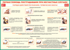 Таблица "Порядок действий при ранениях и термических ожогах" (100х140 сантиметров, винил) - fgospostavki.ru - Владикавказ