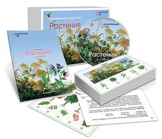 Комбинированное наглядное пособие «Растения» - fgospostavki.ru - Владикавказ
