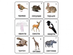 Набор магнитных карточек по музыке "Животные" (9 штук) - fgospostavki.ru - Владикавказ