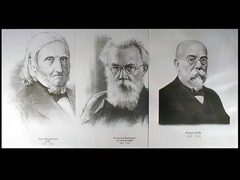 Портреты биологов (26 штук, формат А3) - fgospostavki.ru - Владикавказ