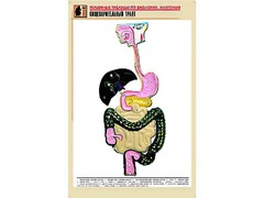 Рельефная таблица "Пищеварительный тракт" (формат А1, матовое ламинирование) - fgospostavki.ru - Владикавказ