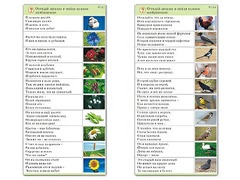 Комплект карточек (10) "Обучающий калейдоскоп. Природа" - fgospostavki.ru - Владикавказ