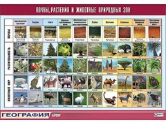 Таблица демонстрационная "Почвы, растения и животные природных зон" (винил 100*140) - fgospostavki.ru - Владикавказ