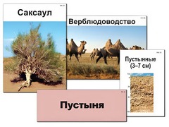 Модель-аппликация "Природные зоны России" (ламинированная) - fgospostavki.ru - Владикавказ