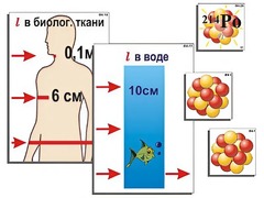 Модель-аппликация "Явление радиоактивности" (ламинированная) - fgospostavki.ru - Владикавказ