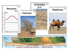 Модель-аппликация "Природные зоны" - fgospostavki.ru - Владикавказ