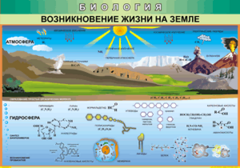 Таблица "Возникновение жизни на земле" (100х140 сантиметров, винил) - fgospostavki.ru - Владикавказ