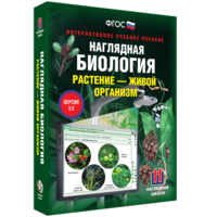 Наглядная биология. Растение - живой организм - fgospostavki.ru - Владикавказ