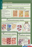 Комплект таблиц. Биология 8-9 класс. Человек. - fgospostavki.ru - Владикавказ