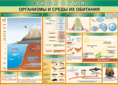 Таблица "Организмы и среды их обитания" (100х140 сантиметров, винил) - fgospostavki.ru - Владикавказ