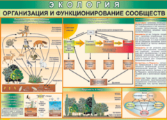 Таблица "Организация и функционирование сообществ" (100х140 сантиметров, винил) - fgospostavki.ru - Владикавказ