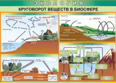 Таблица "Круговорот веществ в биосфере" (100х140 сантиметров, винил) - fgospostavki.ru - Владикавказ