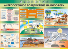 Таблица "Антропогенное воздействие на биосферу" (100х140 сантиметров, винил) - fgospostavki.ru - Владикавказ