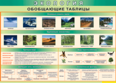 Таблица "Экология. Обобщающие таблицы" (100х140 сантиметров, винил) - fgospostavki.ru - Владикавказ