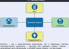 Интерактивные курсы. Биология 5 класс. Базовый - fgospostavki.ru - Владикавказ