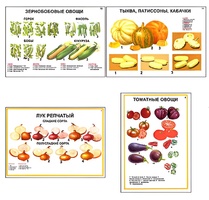 Плакаты ПРОФТЕХ "Ассортимент овощных культур" (12 пл, винил, 70х100) - fgospostavki.ru - Владикавказ