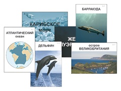 Модель-аппликация "Океаны. Знакомство" (ламинированная) - fgospostavki.ru - Владикавказ