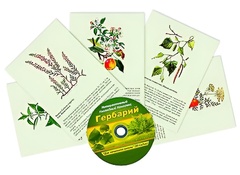 Интерактивный наглядный комплекс "Гербарий "Для начальной школы" - fgospostavki.ru - Владикавказ
