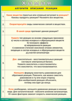 Таблица "Алгоритм описания реакции" (100х140 сантиметров, винил) - fgospostavki.ru - Владикавказ