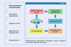 Интерактивные курсы. Информатика 10 класс . Базовый. - fgospostavki.ru - Владикавказ