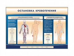 Электрифицированный стенд-тренажер "Остановка кровотечения" - fgospostavki.ru - Владикавказ