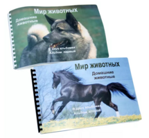 Пособие для слабовидящих - Домашние животные - fgospostavki.ru - Владикавказ