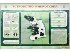 Электрифицированный стенд "Устройство микроскопа и правила работы c ним" - fgospostavki.ru - Владикавказ