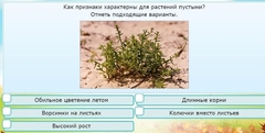 Интерактивные курсы. Окружающий мир 3 класс . Базовый. - fgospostavki.ru - Владикавказ