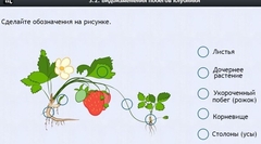 Интерактивные курсы. Биология 7 класс. Расширенный. - fgospostavki.ru - Владикавказ