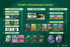 Электрифицированный стенд "Уровни организации жизни" - fgospostavki.ru - Владикавказ