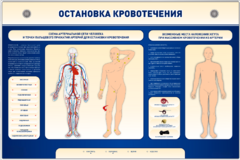 Электрифицированный стенд-тренажер "Остановка кровотечения" - fgospostavki.ru - Владикавказ