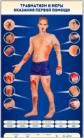 Электрифицированный стенд-тренажер "Травматизм и меры оказания первой помощи" - fgospostavki.ru - Владикавказ